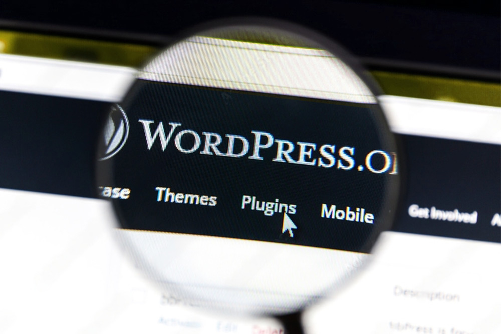 Nahaufnahme eines Computerbildschirms mit der Fokussierung auf die WordPress.org Website durch eine Lupe, die die Bereiche "Plugins" und "Themes" hervorhebt, symbolisch für die Suche nach der WordPress Sicherheitslücke.